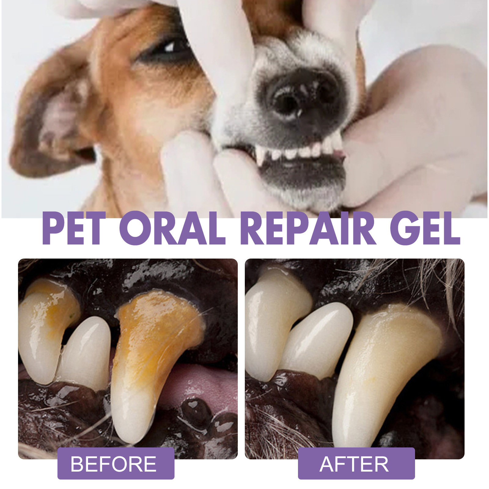 ペット口腔修復ジェル子犬歯石除去消臭剤白くする猫犬歯ステイン - Teeth Whitening Hydrogen Peroxide のレビューと価格